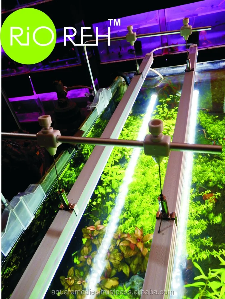 Planted aquarium LED TUBE LIGHTS for sale - RIO-REH Green lighting for those who respect environment - POWER LEDS