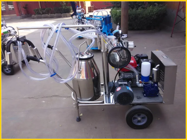 IMG_20141017_112216 .jpg