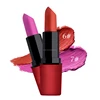 Make your own lipstick ODM/OEM makeup Long Lasting waterproof lipstick matte 12 colour Matte Lipstick