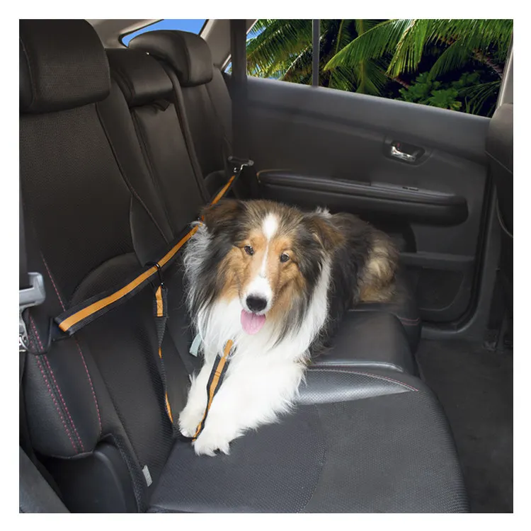 Car Pet Safety Tether Use For Dog Harness Buy Pet Safety Tether
