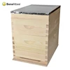 Australian style beehive box kit bee hive with China fir Material