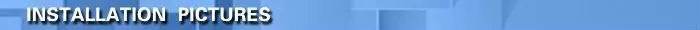 .jpg