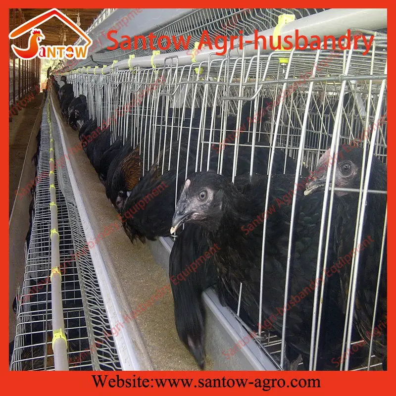 Automatic chicken cages hot galvanized poultry cage cheap price battery cage design for Uganda Nigeria Kenya Africa Philippines
