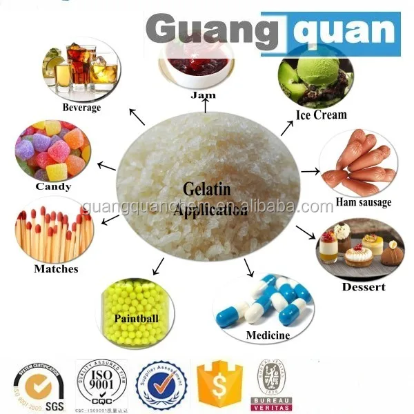 properties of porcine gelatin