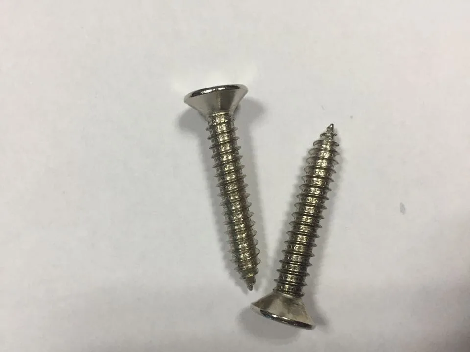 Professional Fastener Manufacturer Supply Self Tapping Screws Self