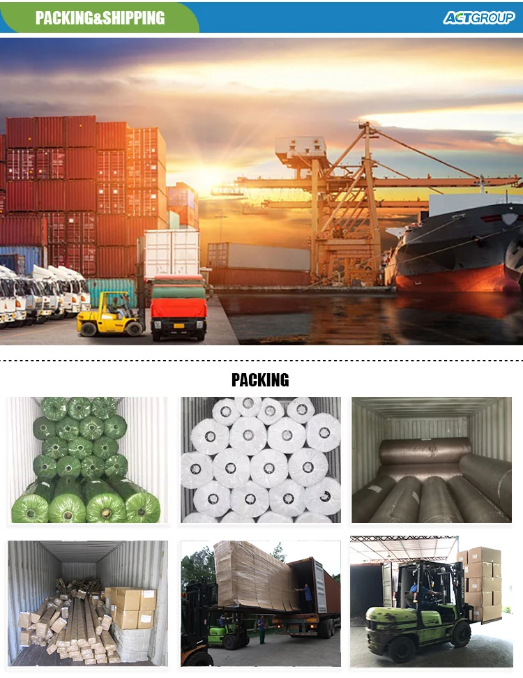 shiping loading 2