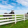 Fentech Manufacturing Top Quality 4Rails Vinyl/PVC/Plastic Post And Rail Fence
