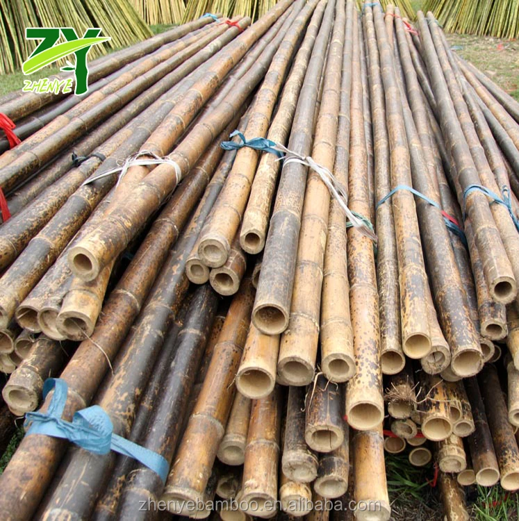 ZY-1007 Big Speckled Bamboo 1.jpg