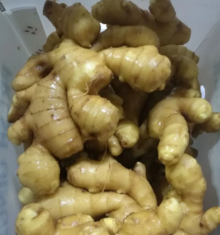 ginger-fresh in pvc carton.jpg