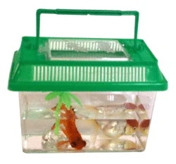 plastic fish aquarium