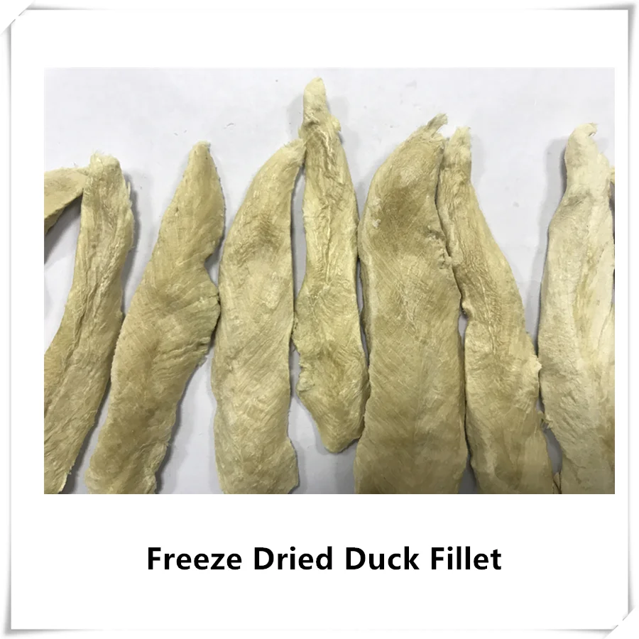 FD Duck.png