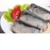 Canned Fish