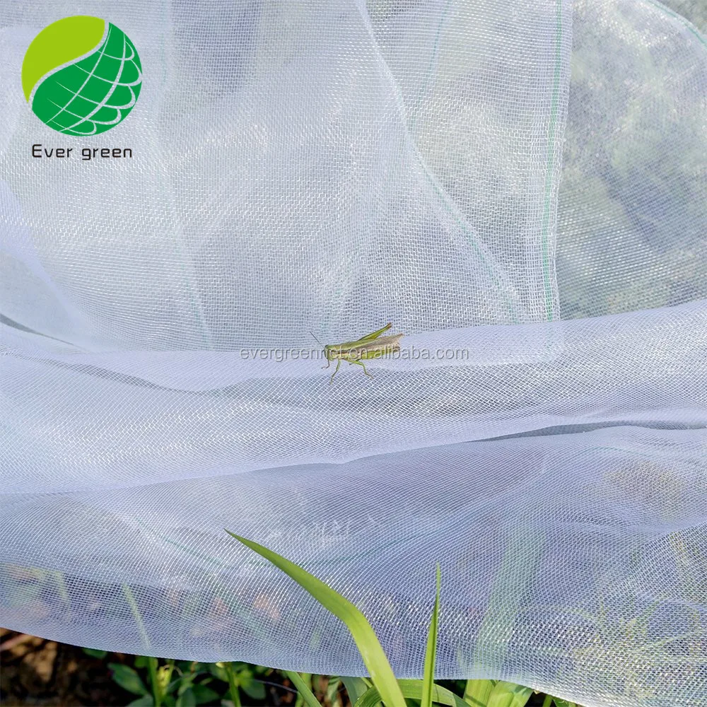 40 50 60 Mesh 125g Agriculture Greenhouse Anti Insect Net - China Anti Insect  Net, Anti Insect Netting