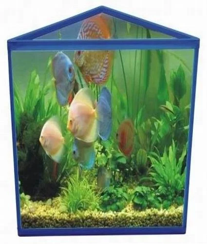 Mini Square avec filtre poisson aquarium réservoir - Chine Fish