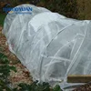 agricultural tunnel cover film uv resistant plastic film greenhouse