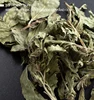 High quality natural is beneficial to human body Tea bags made of mint