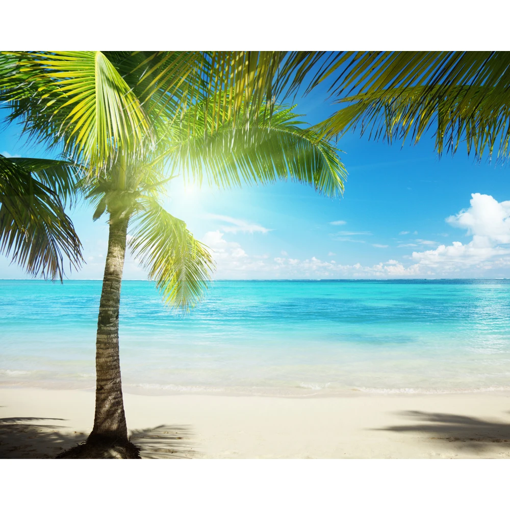 Sinar Matahari Pantai Pohon Kelapa Biru Laut Pemandangan Indah Tv