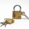 Good quality Size 30mm40mm50mm60mm Heavy duty Logo customized Cross keys brass/copper imitate padlock iron