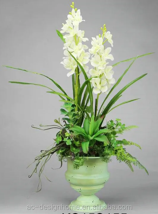 40 Trend Terbaru Gubahan Bunga  Orkid  Dalam Pasu Besar 
