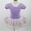 TD00038 Professional Fancy Kids Girls Ballet Dance Wear Costumes Tutu Dress Dance