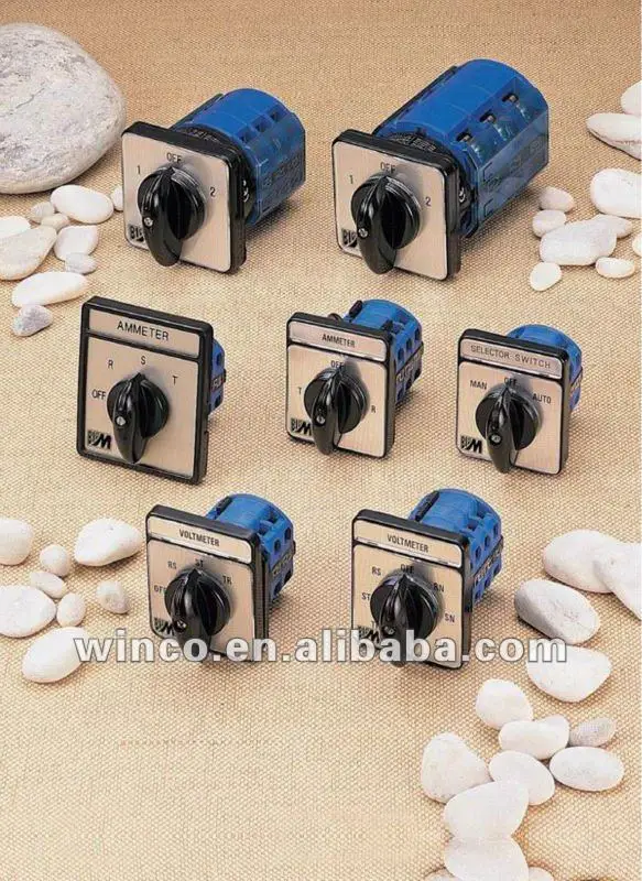 LW26 Cam Switch Bigm.jpg