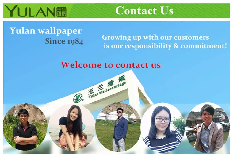 Modern Design Digital Printing Non-woven 3D Wall Covering