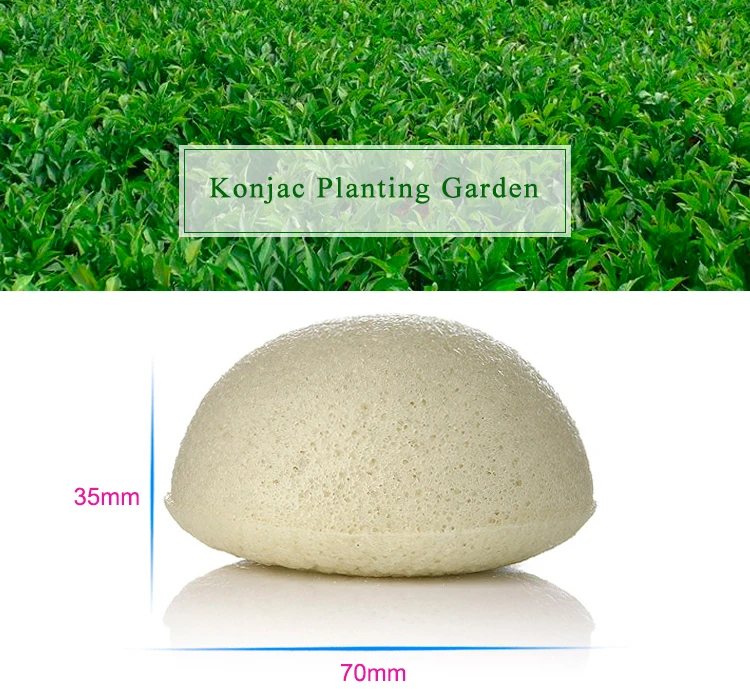 Exporters Colorful Washable Konjac Sponge Wholesale Organic Konjac
