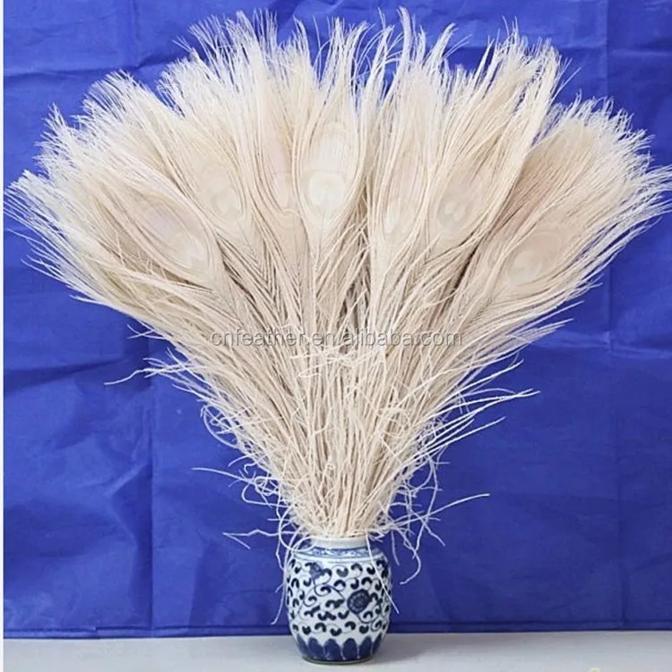 Wholesale 90 100cm Cheap Dyed White Peacock Feather For Home Decoration   HTB1AI.BNFXXXXXYXVXXq6xXFXXXI 