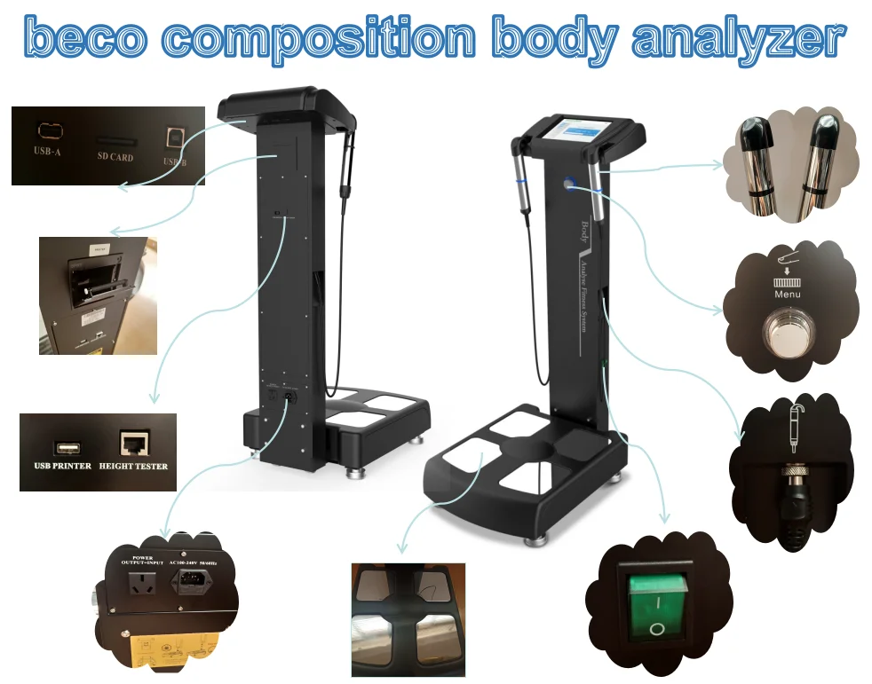 Human Body Element Analyzerfitness Fat Measurement Machine Body