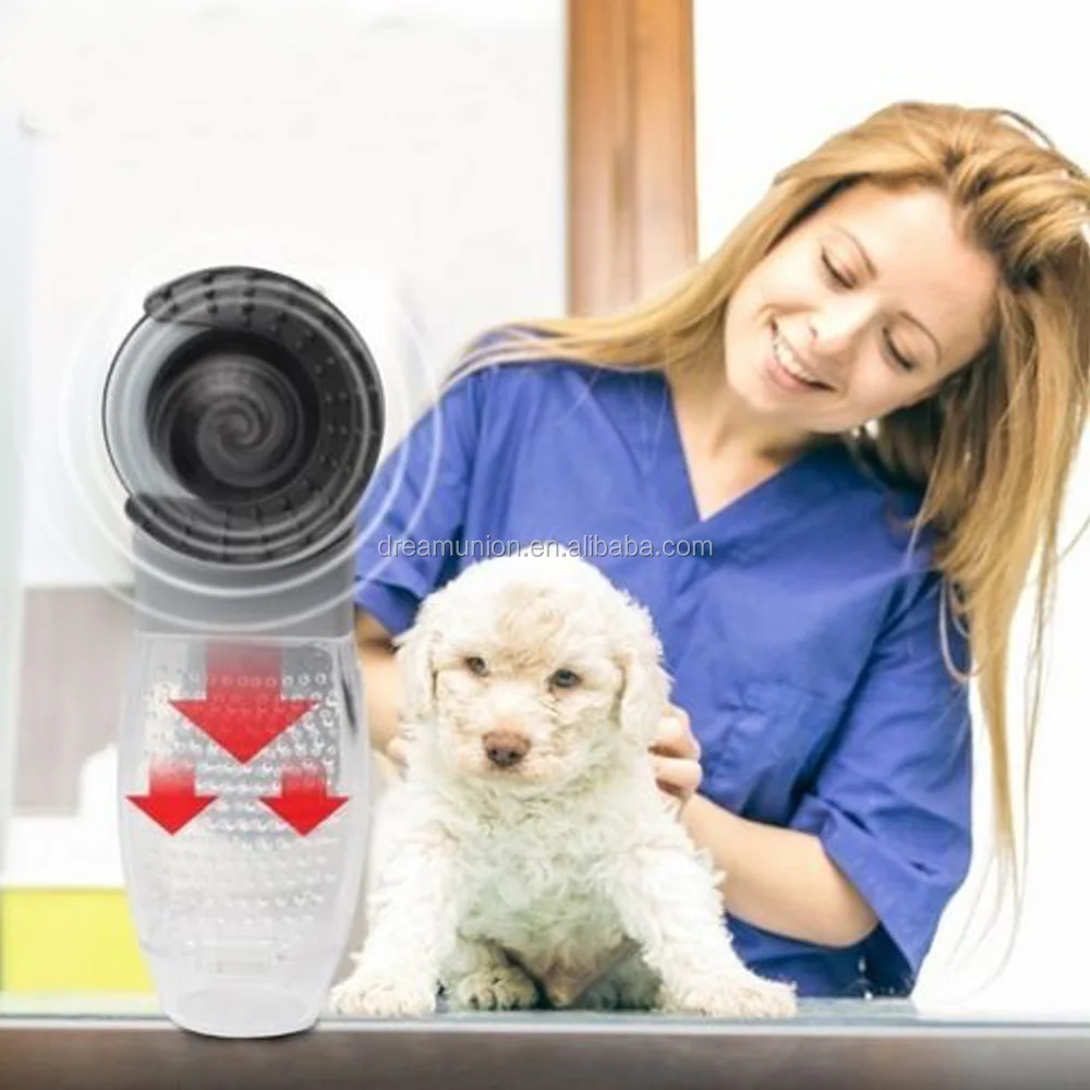 main 5.jpg