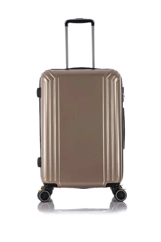 ellen tracy luggage