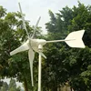 for home wind turbine nature mill generator 1kw 24V
