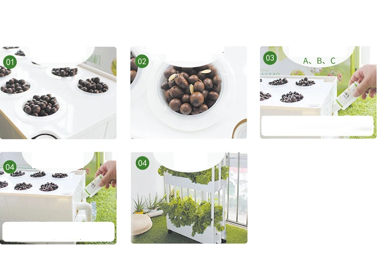 hydroponics growing.jpg