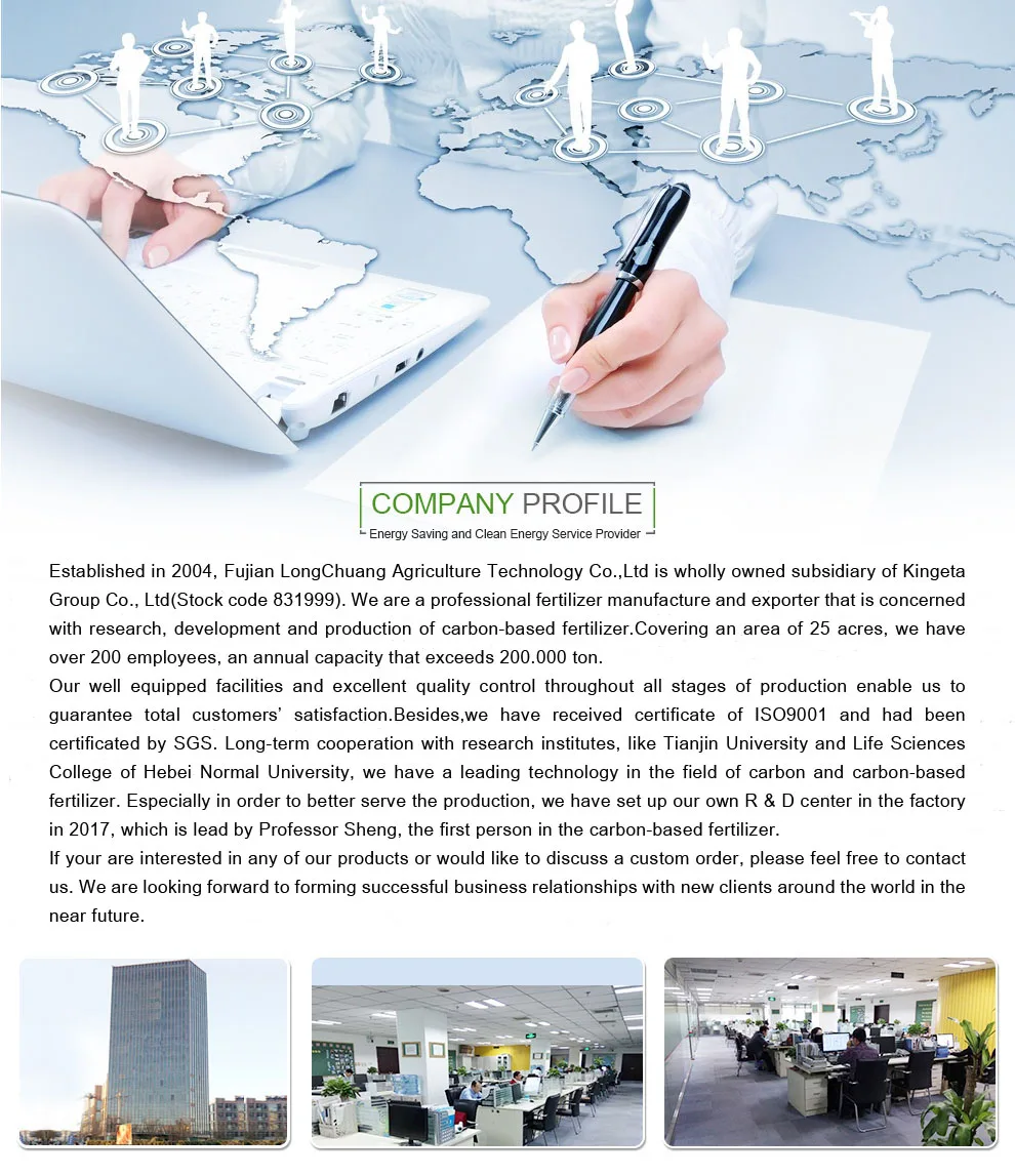 company profile.jpg