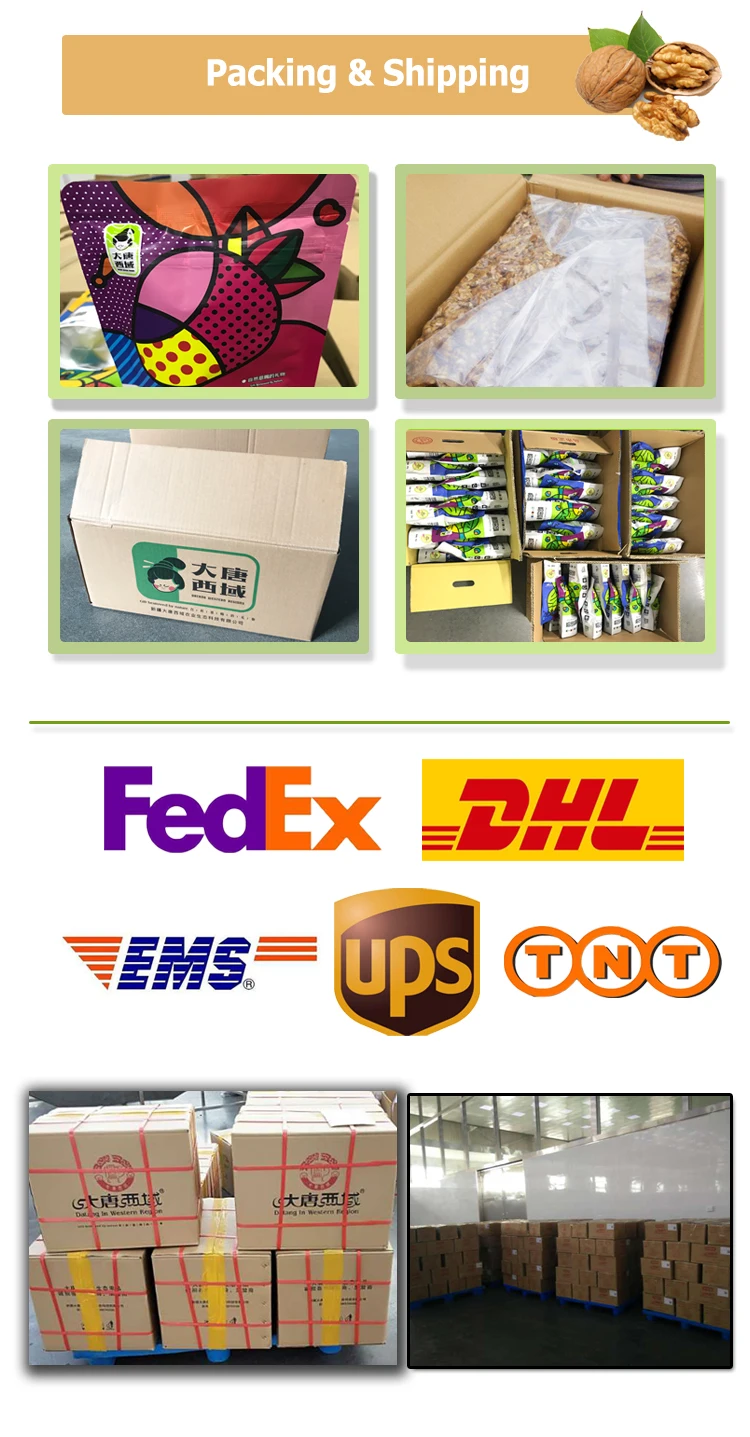 Chinese xinjiang kernels walnut without shell walnut halves