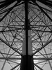 Structural Framework