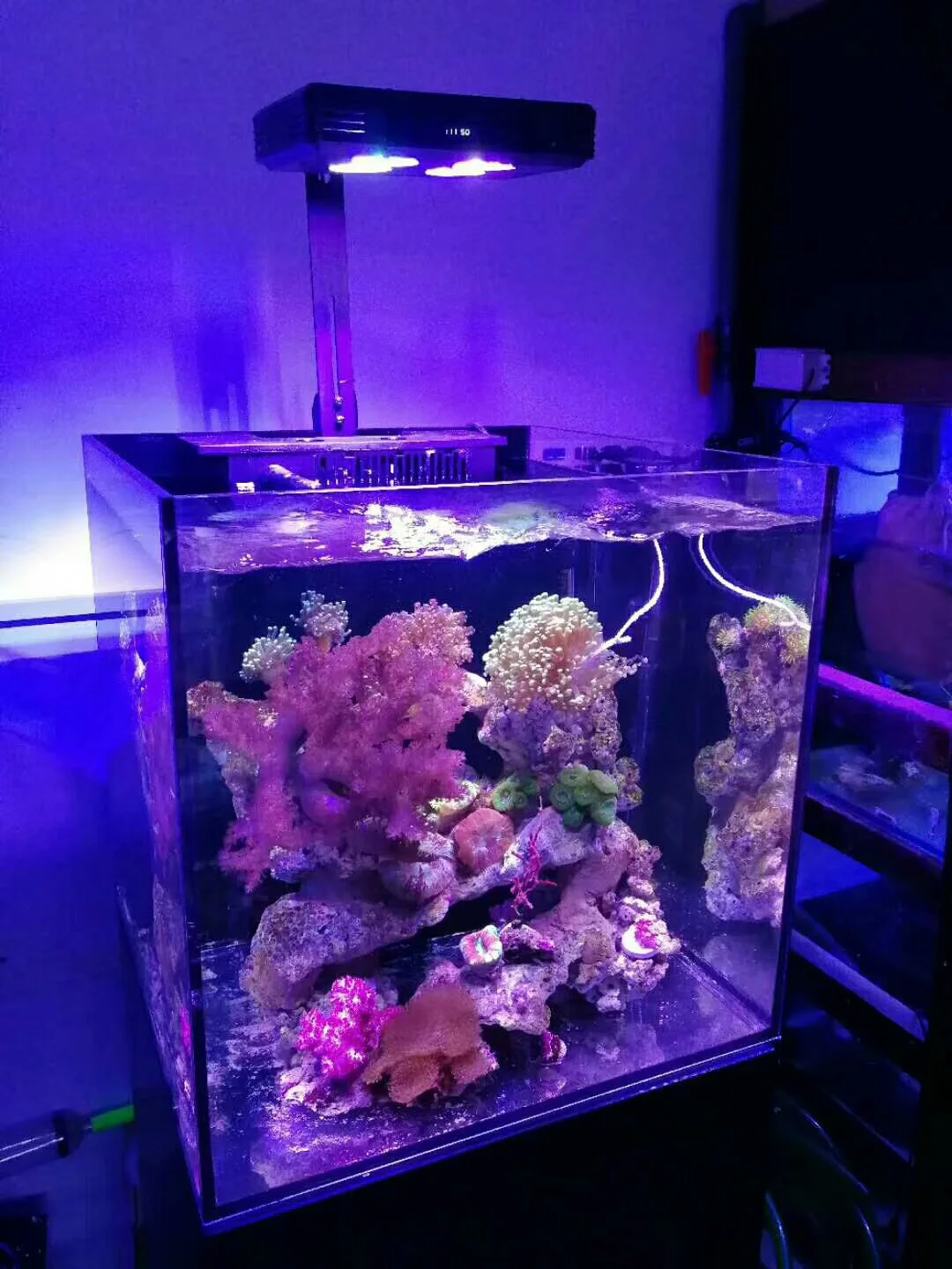 marine aquarium lighting