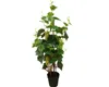 decorative artificial grape vine fruit tree, artificial grape with leaves tree plant