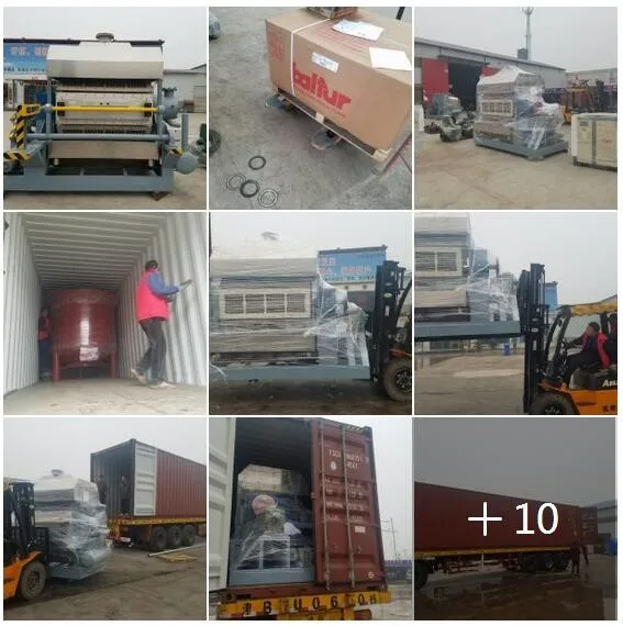 Egg Tray Traditional Drying Line / Conveyor Belt Dryer / Brick Oven