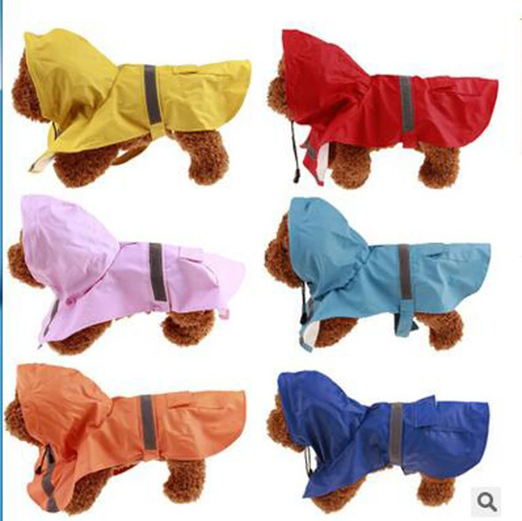 big dog raincoat.jpg