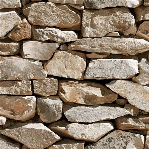 黑色白色桦木树林壁纸