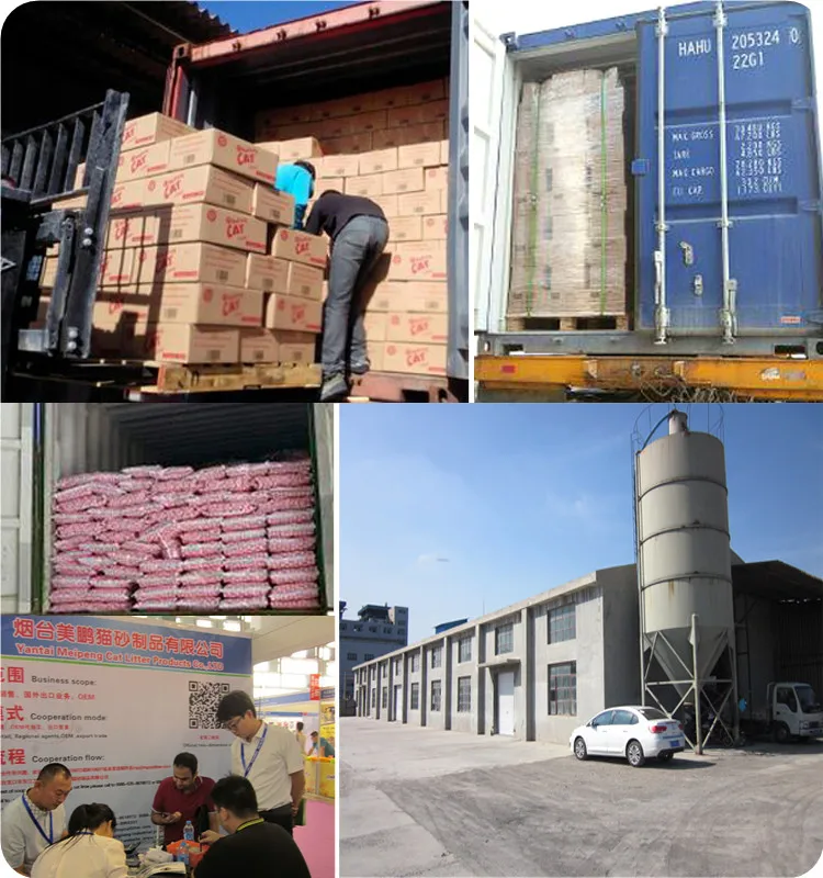 Uch qiz sorish bir Dik onlayn