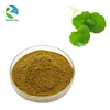 /product-detail/high-quality-pure-centella-asiatica-extract-powder-60278468001.html