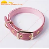 Popular high-grade nylon material custom logo dog leash and collar