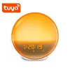 Touch sensor sunrise wake up light digital night light alarm clock with APP remote control