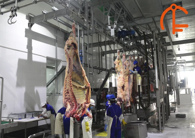 Meat Carcass Washing Machine For Ox Slaughtering Line Bovine Slaughter ...