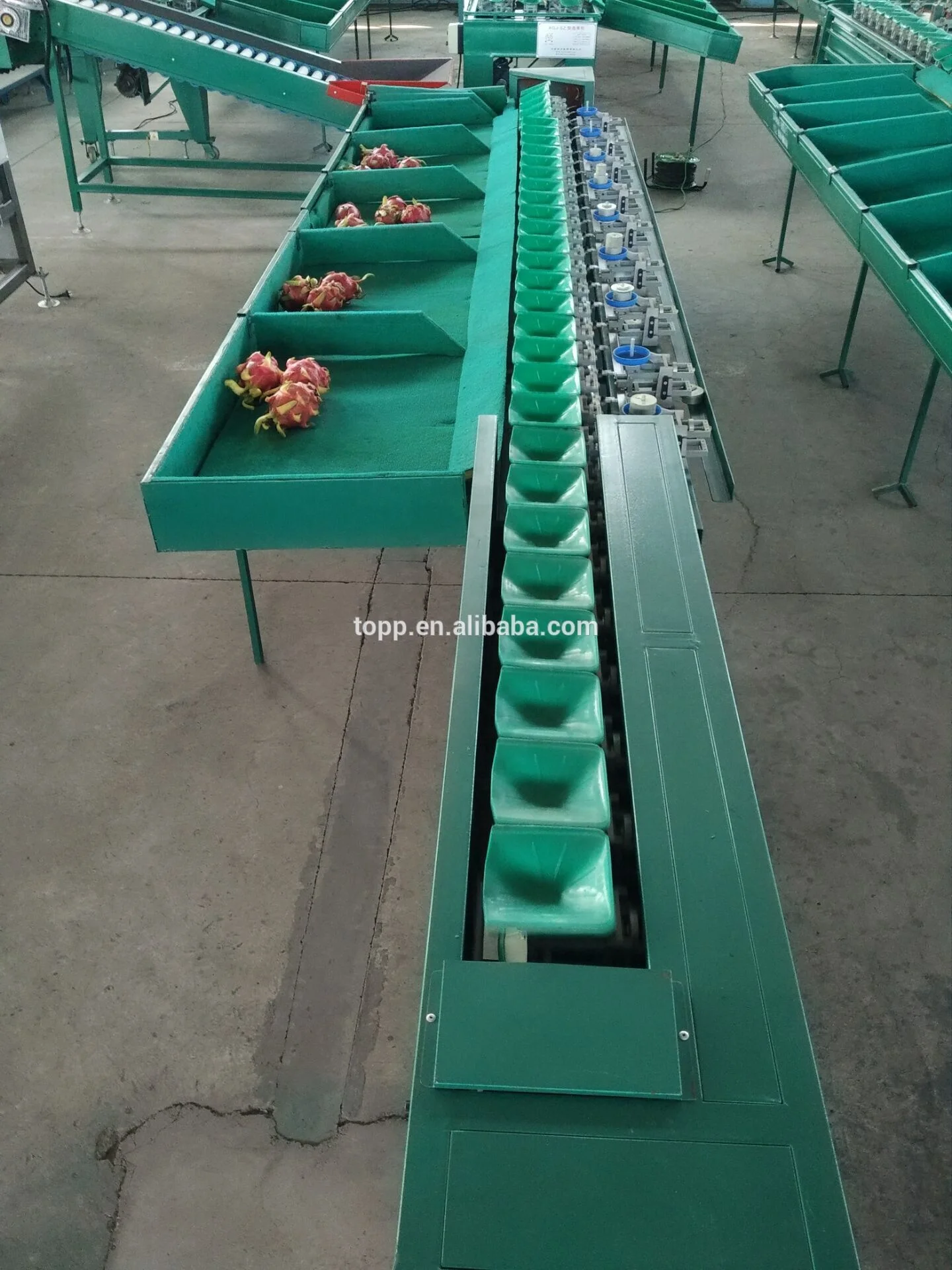 Automatic Big Capacity Citrus Fruits Sorter Pineapple Sorting Machine