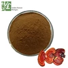 100% Chinese Herbal Chinese Medicine Reishi Mushroom and Ganoderma Lucidum Extract Polysaccharide
