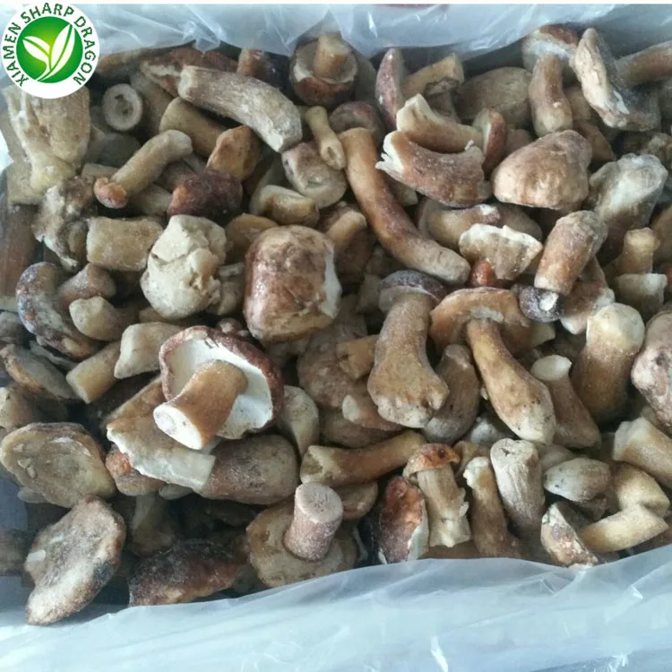 IQF porcini mushroom sliced and whole supply