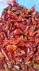 dehydrated pepper flakes own factory dehydrated red bell pepper granules DRIED RED BELL PEPPER DEHYDRATED NEW CROP